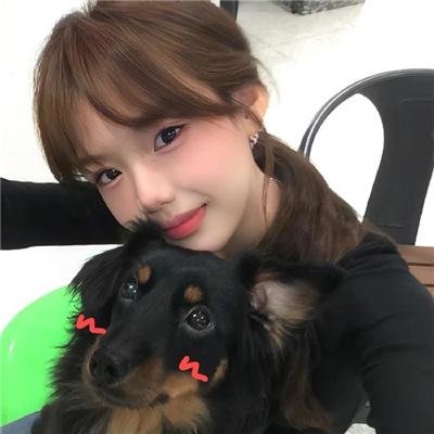 狐狸猎手